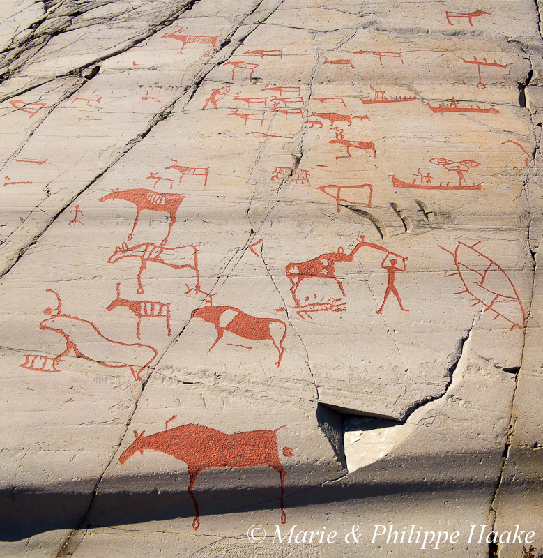 Alta 1319.jpg - Gravures rupestres d'Alta (Norvège, juin 2012)